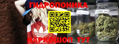 spice Краснокаменск